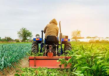 Agricultural operations in Nigeria