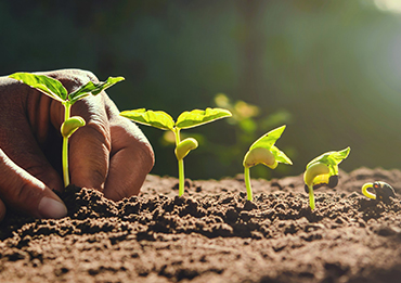 Mine to market supply chain